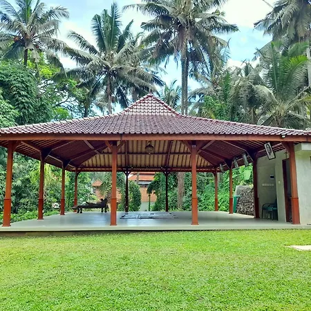 As I Am Ubud Retreat